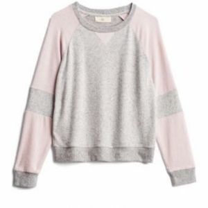Pinque Chloe brushed knit top